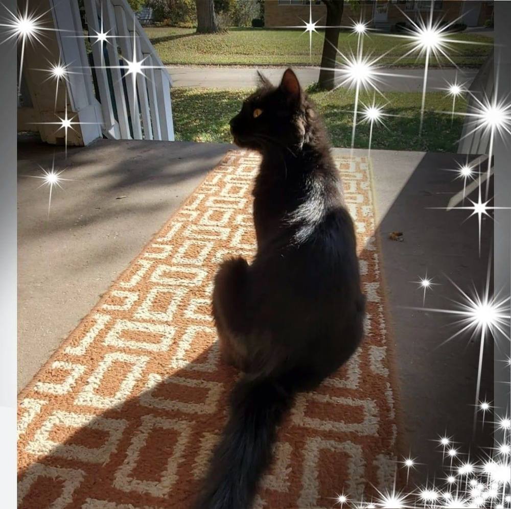 Meet your Posher, Dwanna